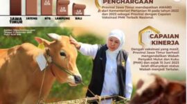 Gubernur Khofifah: PMK di Jatim Berhasil Dikendalikan