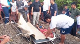 Seorang wanita paruh baya tewas seketika setelah ditabrak kereta rel listrik (KRL) Commuter Line relasi Tangerang-Duri di kawasan RW 09 Kelurahan Semanan, Kalideres, Jakarta Barat, Senin (13/1/2025). Foto/Dok