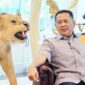 Anggota Komisi III DPR RI, Bambang Soesatyo. Foto/Ist