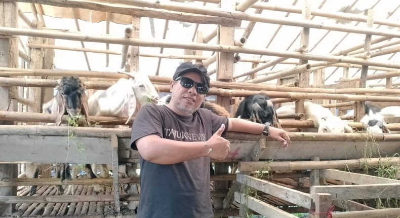 foto slider headline