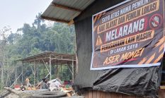 Ada Apa dengan Satgas PKH, Penambang Legal Ditertibkan dan Diduga Ilegal Banyak Bermunculan